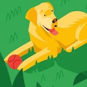 Meet your Posher, Brigitta